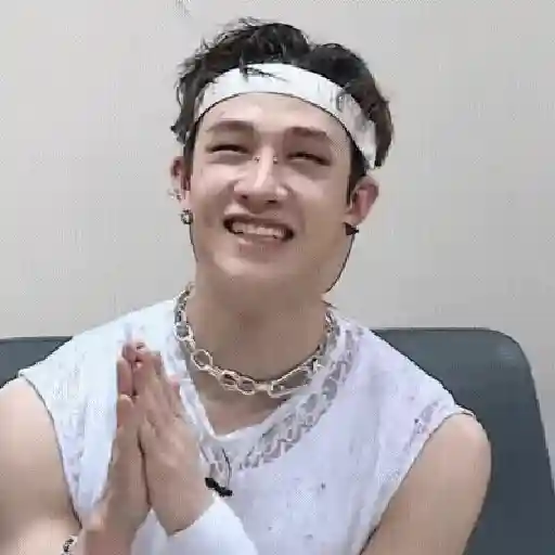 Stray kids animado II 21