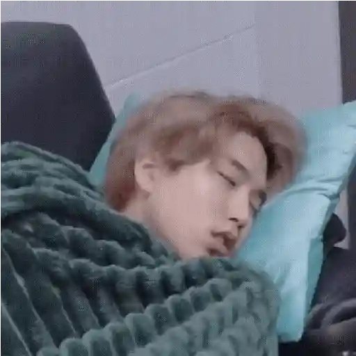 Stray kids animado II 22