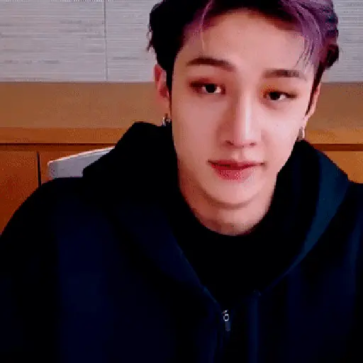 Stray kids animado II 23