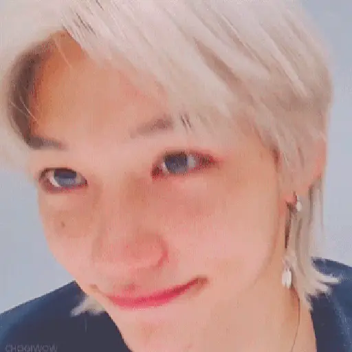 Stray kids animado II 25