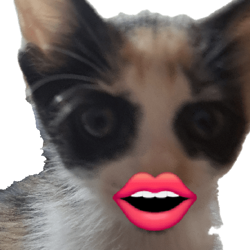 Sticker Image