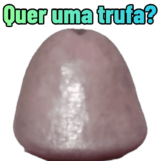 Plantão Noturno 3 23
