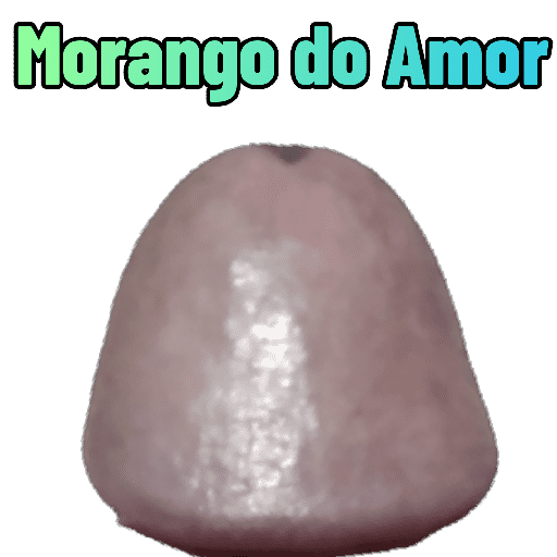 Plantão Noturno 3 22