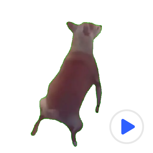PACOTE 3