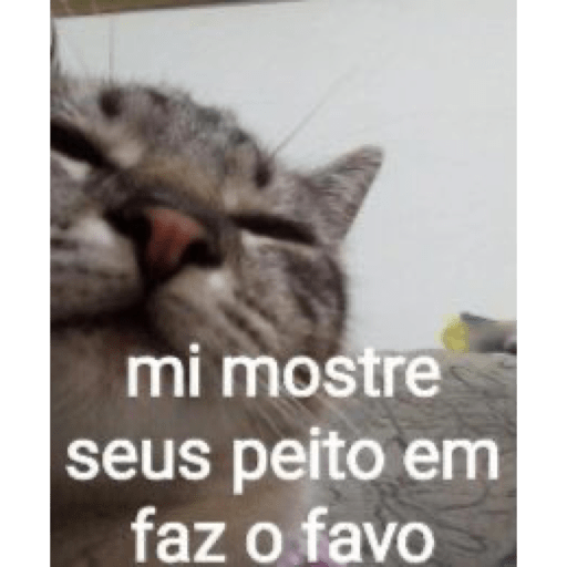 Ok a pulopi 21