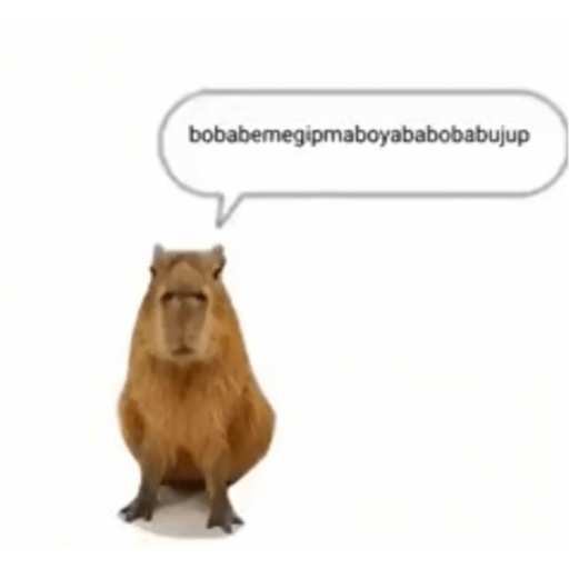 Ok a pulopi 28