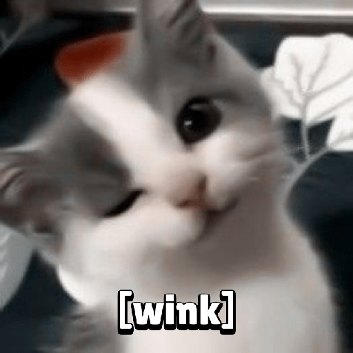 Cat expression 12