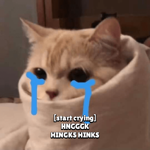 Cat expression 13