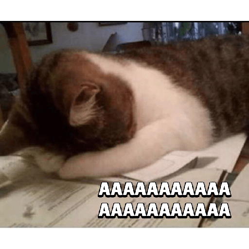 Cat expression 10