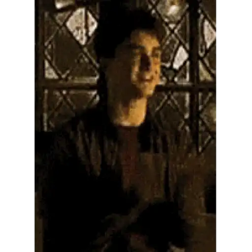 Harry Potter 22