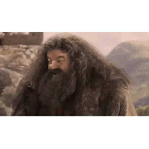 Harry Potter 9