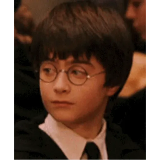 Harry Potter 23