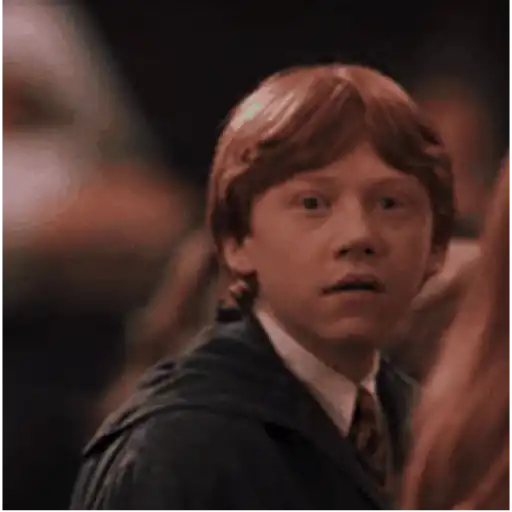 Harry Potter 13