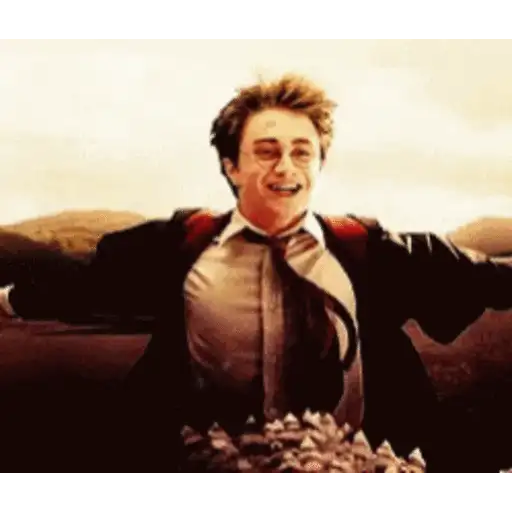 Harry Potter 12