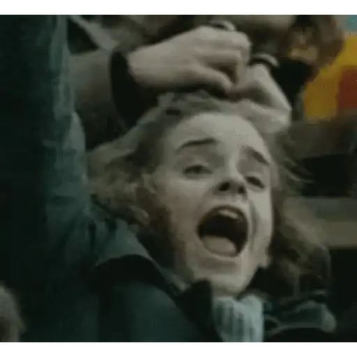 Harry Potter 14