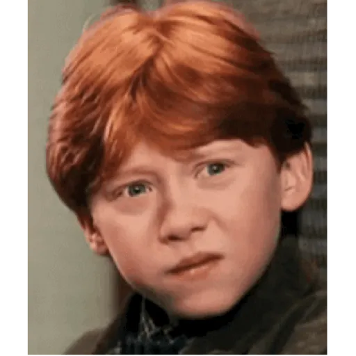 Harry Potter 25