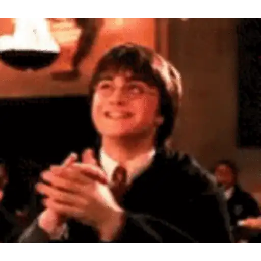 Harry Potter 11