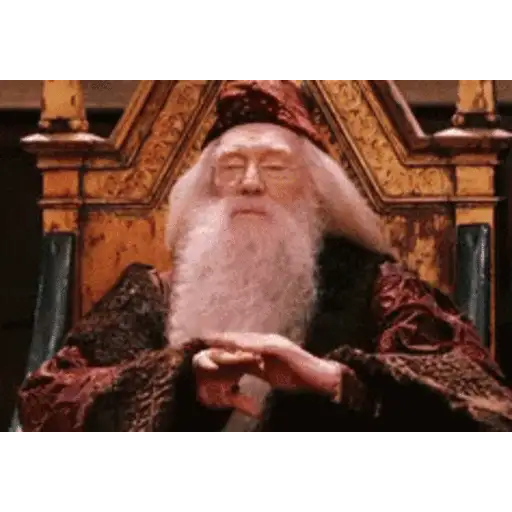 Harry Potter 10