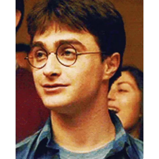 Harry Potter 17