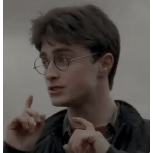Harry Potter 24