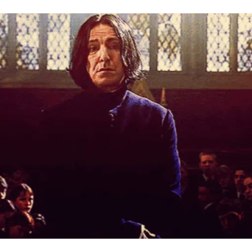 Harry Potter 30