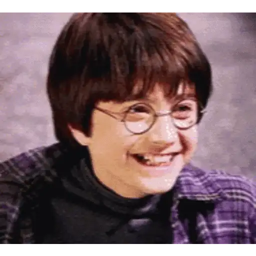 Harry Potter 15