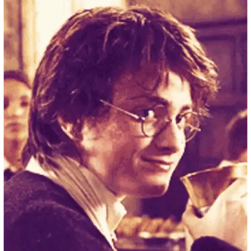 Harry Potter 26