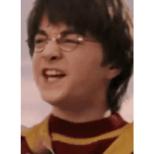 Harry Potter 8