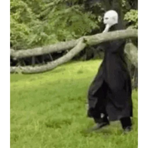 Harry Potter 5