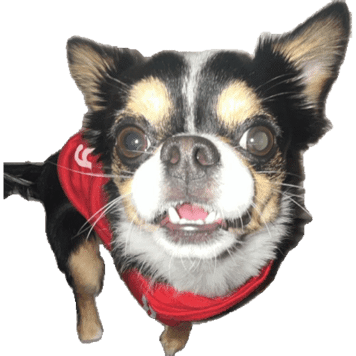 Sticker Image