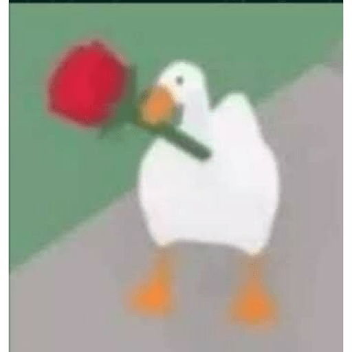 Random 20