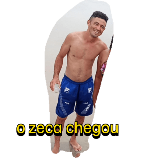 Minhas figurinhas 14