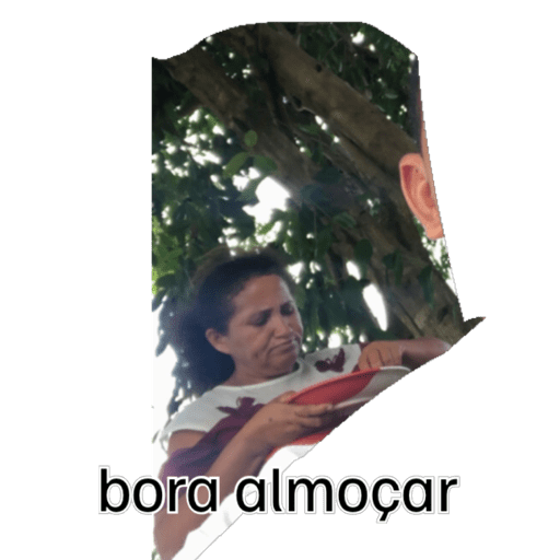 Minhas figurinhas 3