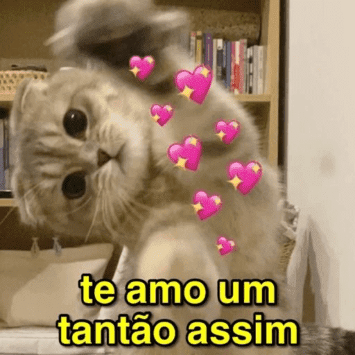 Minhas figurinhas 9