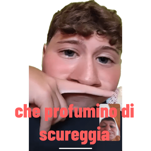 I miei adesivi 11
