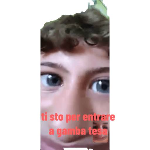 I miei adesivi 13