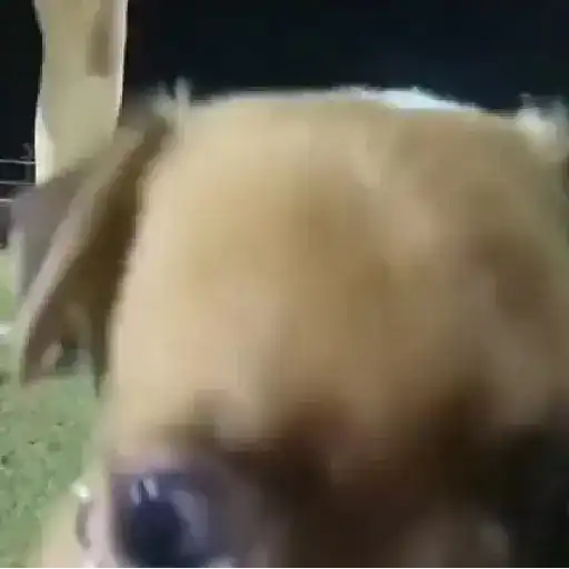 Figurinhas tiktok PT.3 1