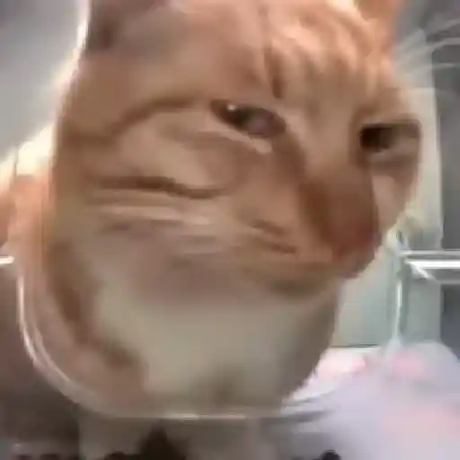 Figurinhas tiktok PT.3 3