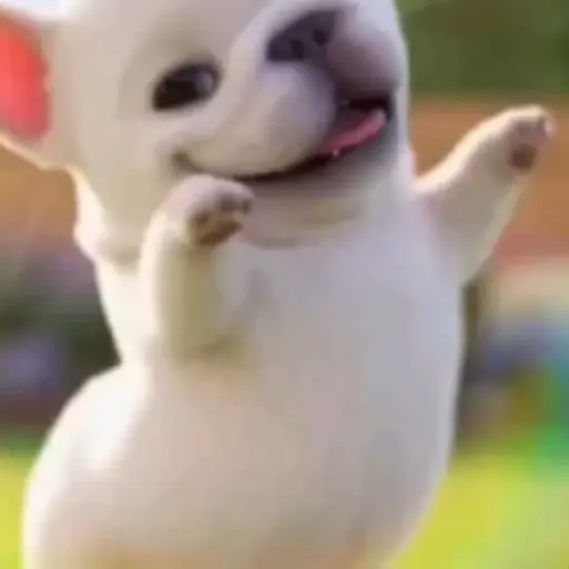 Figurinhas tiktok PT.3 15