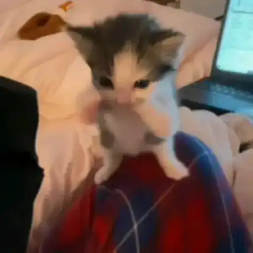 Figurinhas tiktok PT.3 16