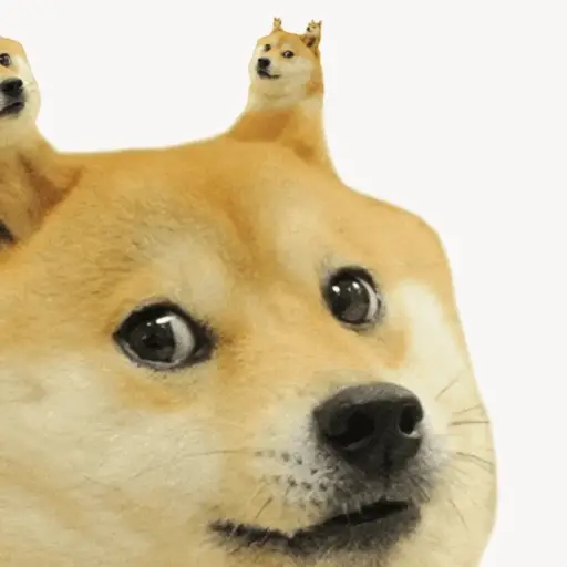 Meme dog marcolinoo 3