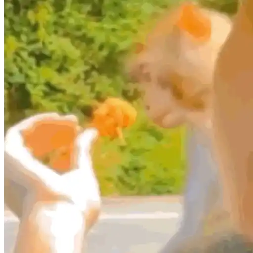 Monkeys2 1