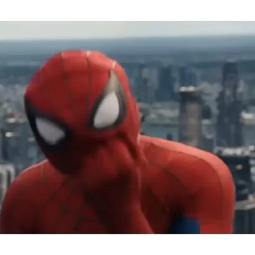 Spiderman BNW stickers  1