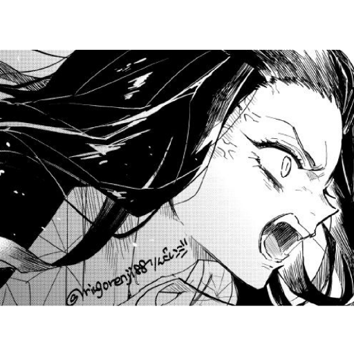 Kamado Family - Nezuko🌸 23