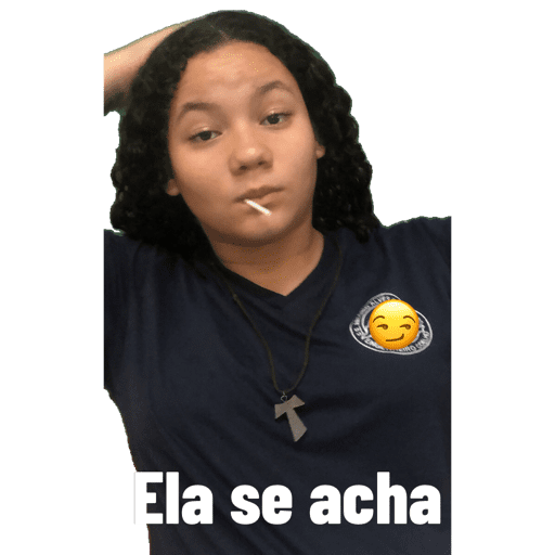 Minhas figurinhas 2
