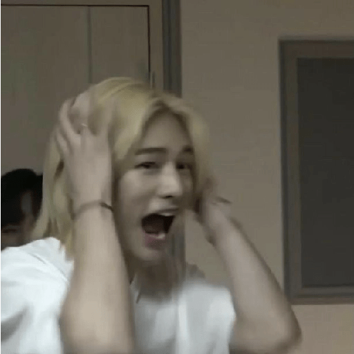 Skz 5 15