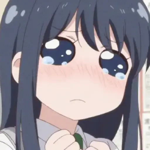 Anime fight 13