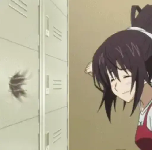 Anime fight 14