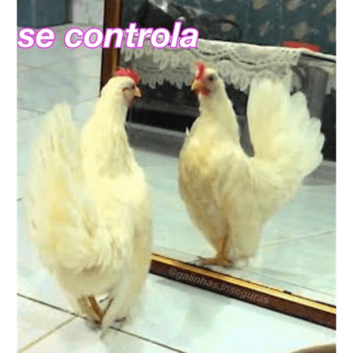 Minhas figurinhas 6