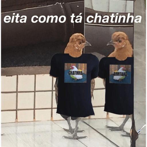 Minhas figurinhas 7